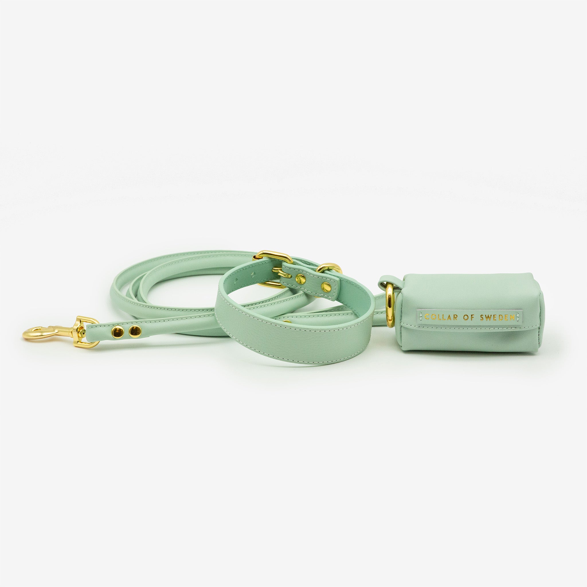 Collare per Cani Sottile Verde Menta