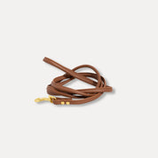 Mocha Brown Dog Lead