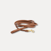 Mocha Brown Dog Lead
