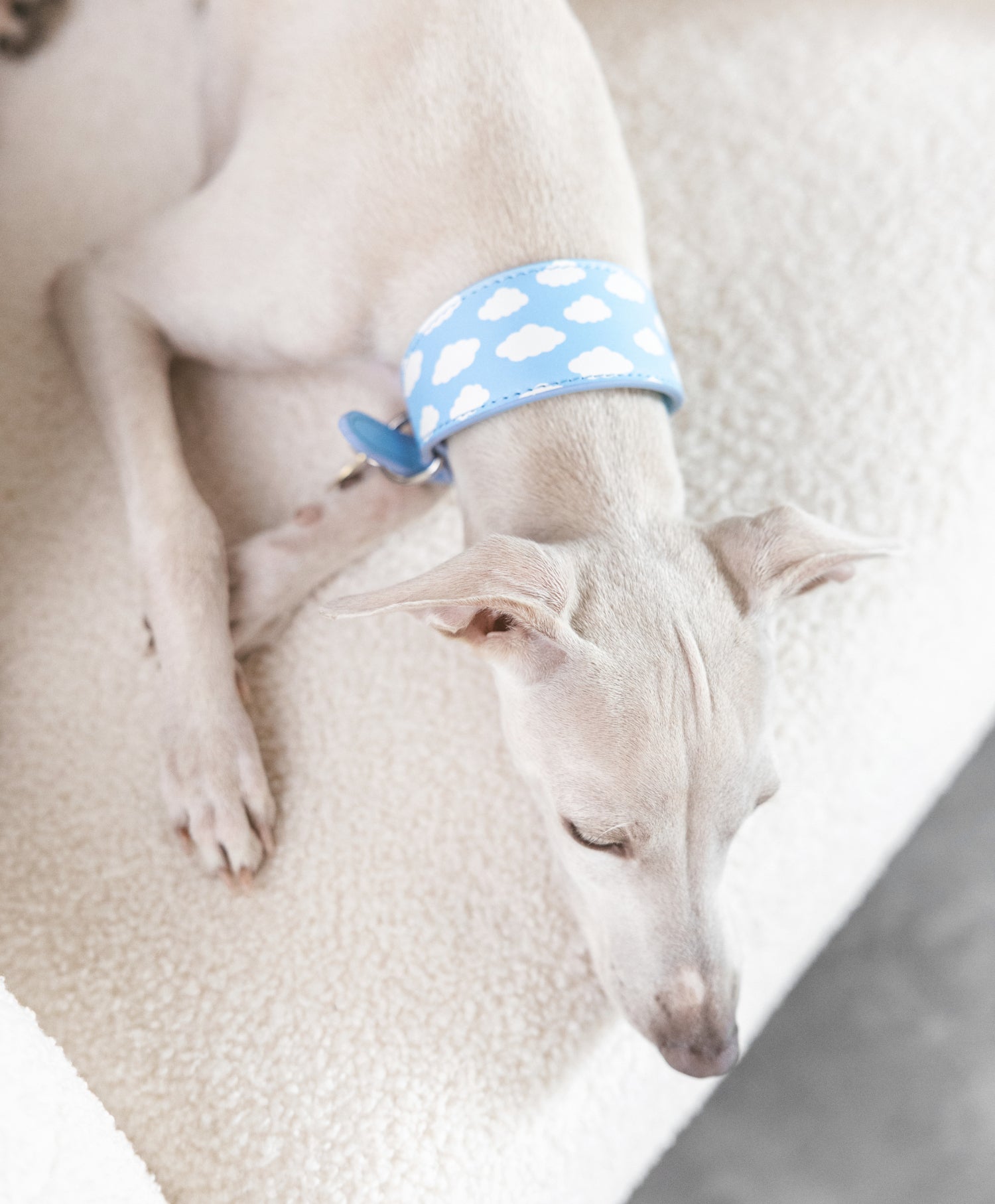 Collare per Cani "Clouds" Largo