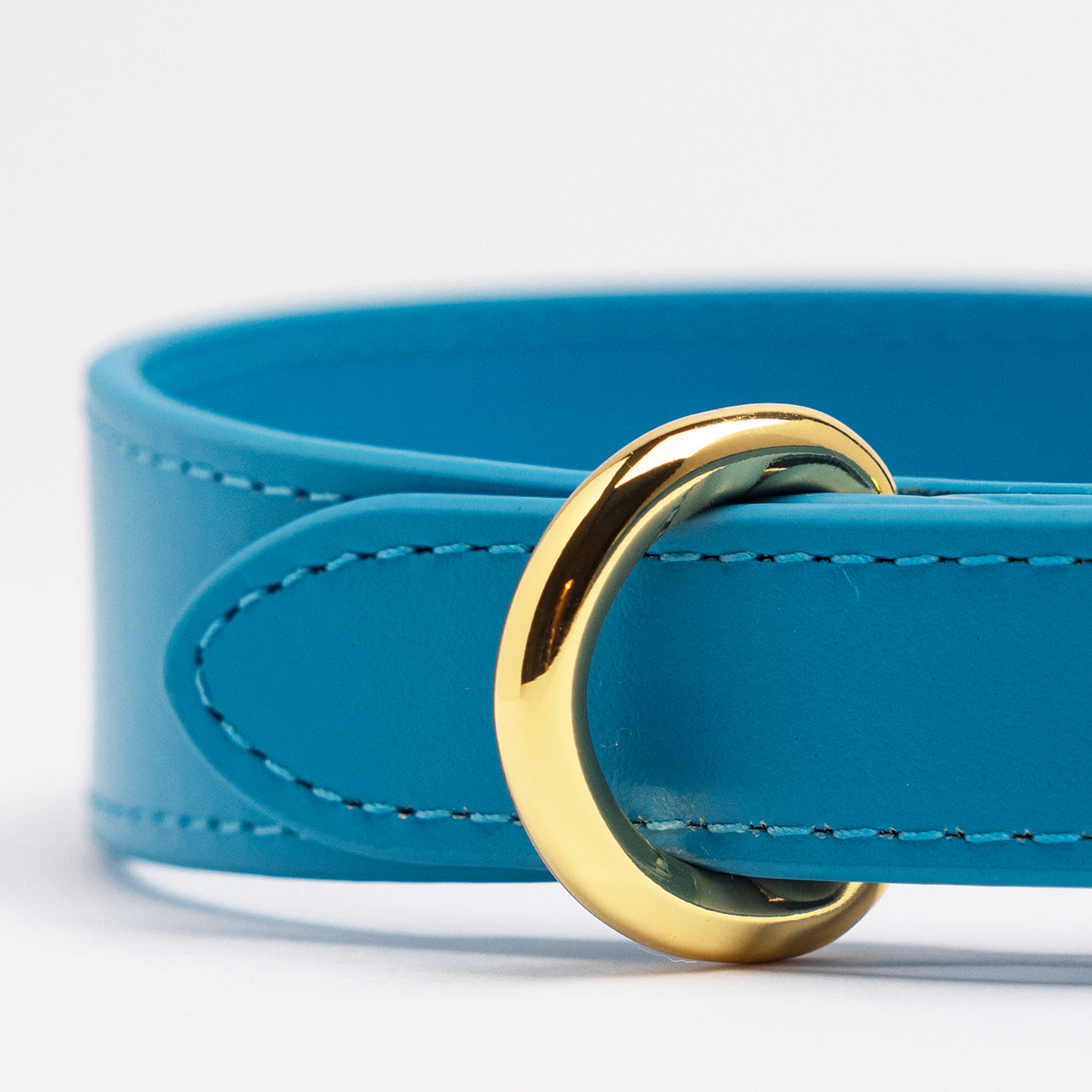 Collare per Cani Sottile Blu Neon
