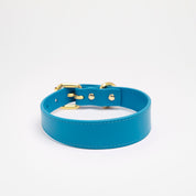 Collare per Cani Sottile Blu Neon