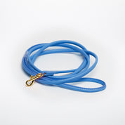 Guinzaglio per Cane Blu Neon