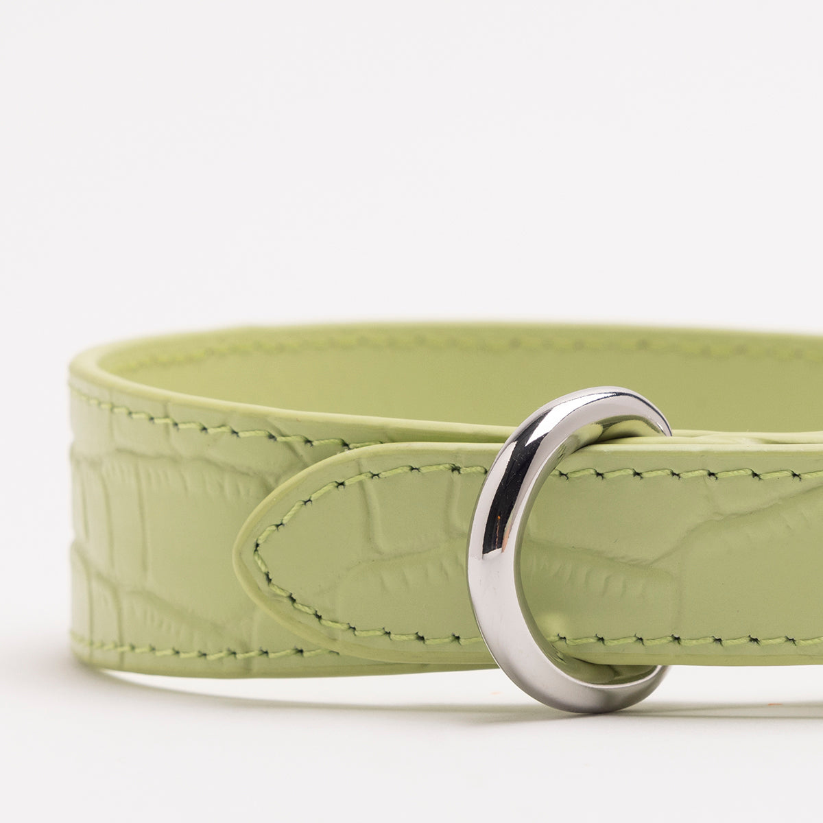 Collare per Cani Sottile Verde Pastello Croco