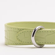 Collare per Cani Sottile Verde Pastello Croco