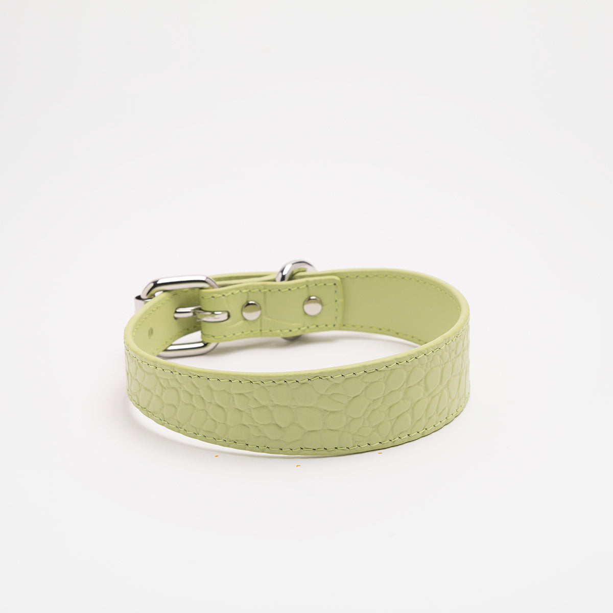 Collare per Cani Sottile Verde Pastello Croco