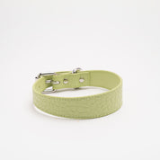 Collare per Cani Sottile Verde Pastello Croco