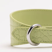 Collare Largo per Cani Verde Pastello Croco