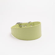 Collare Largo per Cani Verde Pastello Croco