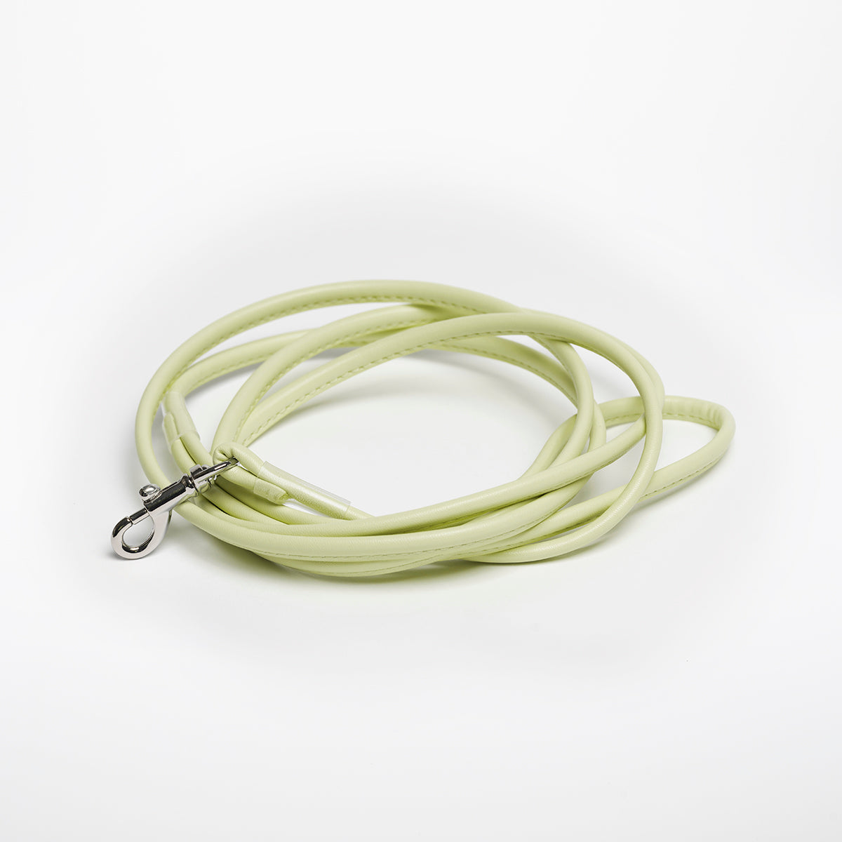 Guinzaglio Pastello Verde per Cani