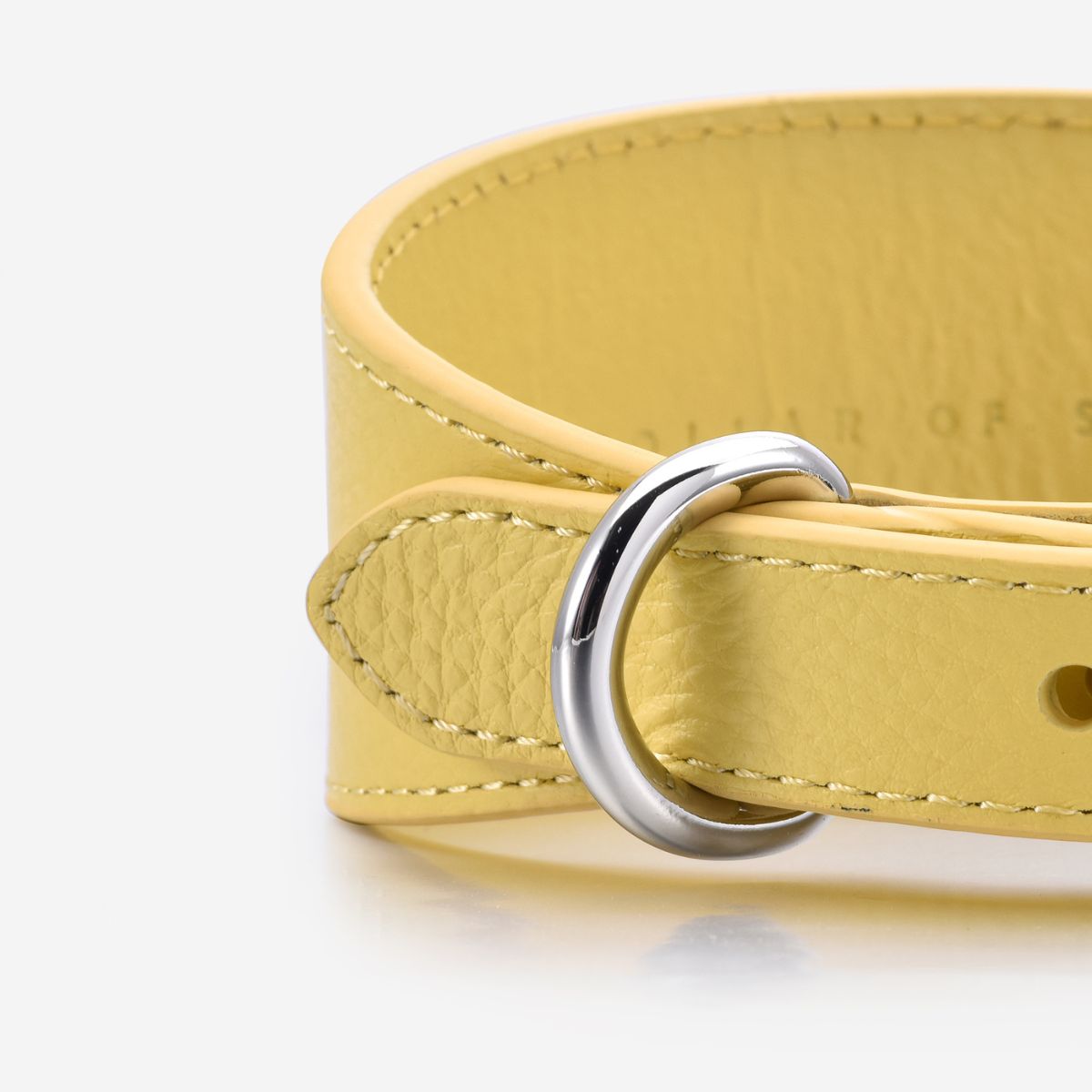 Collare per Cani Larghezza Giallo Pastello