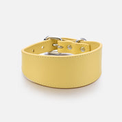 Collare per Cani Larghezza Giallo Pastello