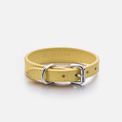 Collare per Cani Sottile Giallo Pastello