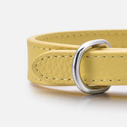 Collare per Cani Sottile Giallo Pastello