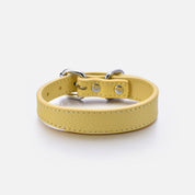 Collare per Cani Sottile Giallo Pastello