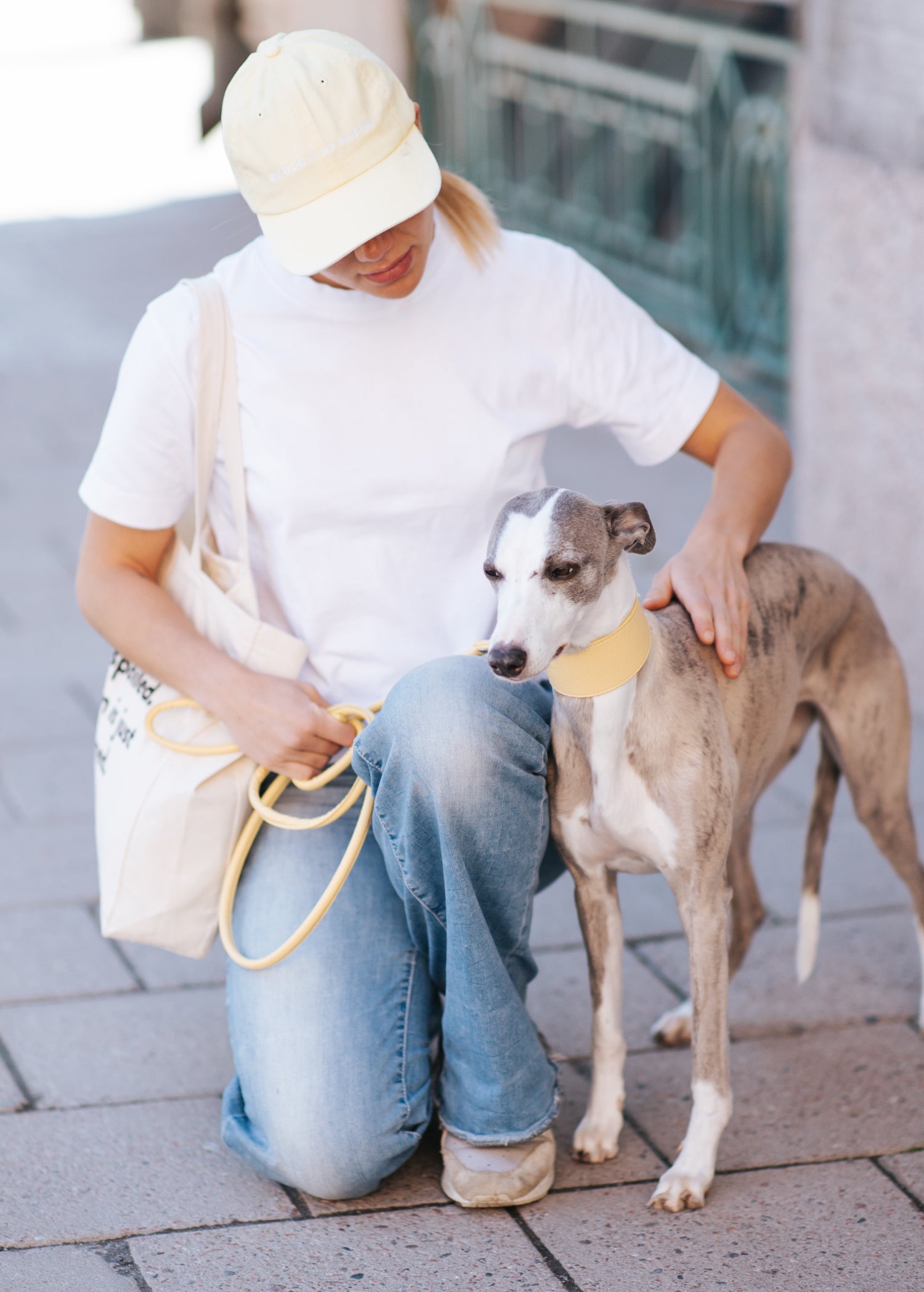 Collare per Cani Larghezza Giallo Pastello