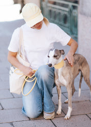 Guinzaglio per Cani Giallo Pastello