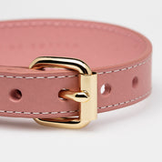 Collare per Cani Rosa Sottile