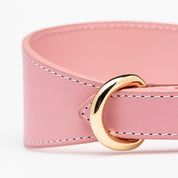 Collare per Cani Larghezza Rosa