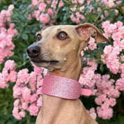 Pink Glitter Dog Collar Wide