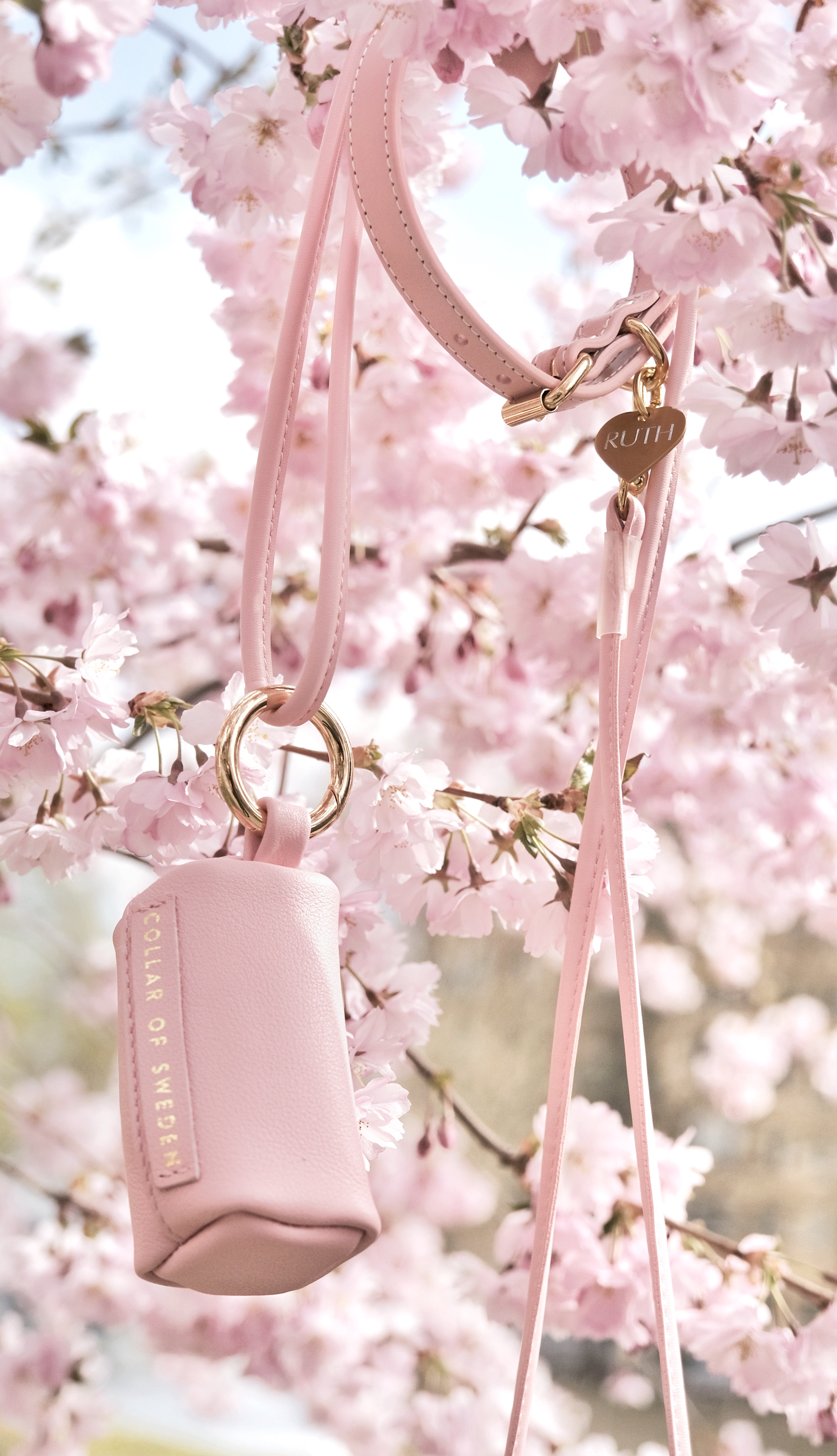 Portasacchetti per Escrementi Rosa