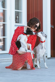 Collare per Cani Intrecciato Largo Rosso Puro