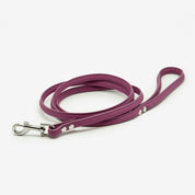Guinzaglio per Cani Prugna