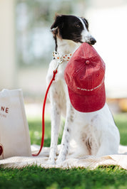 Cappello di jeans rosso - My Dog Is My Shrink
