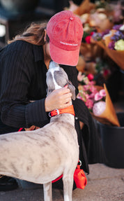 Cappello in Denim Rosso - Cani Prima Degli Uomini