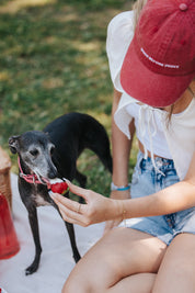 Cappello in Denim Rosso - Cani Prima Degli Uomini