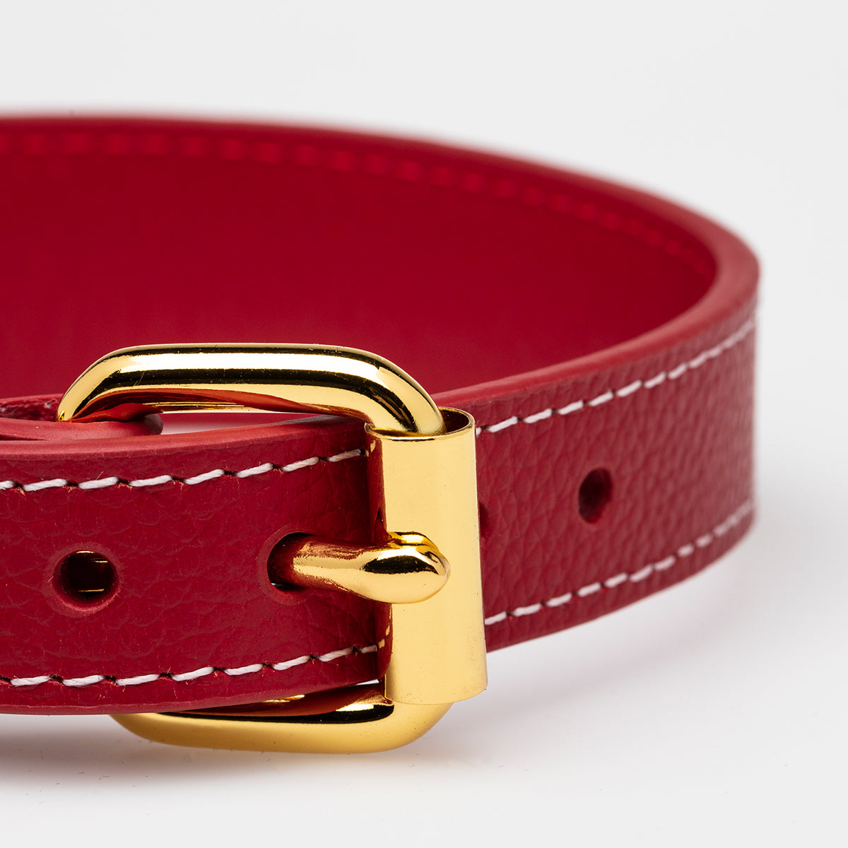 Collare Rosso per Cani Sottile