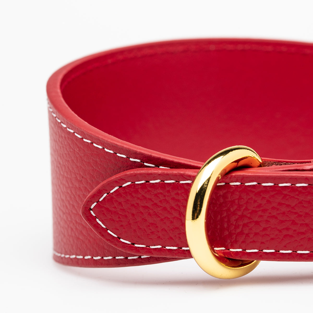 Collare Rosso per Cani Largo