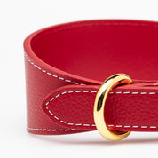 Collare Rosso per Cani Largo
