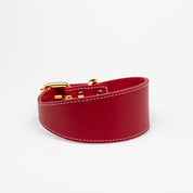 Collare Rosso per Cani Largo