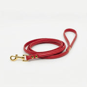 Guinzaglio Rosso per Cane
