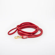 Guinzaglio Rosso per Cane
