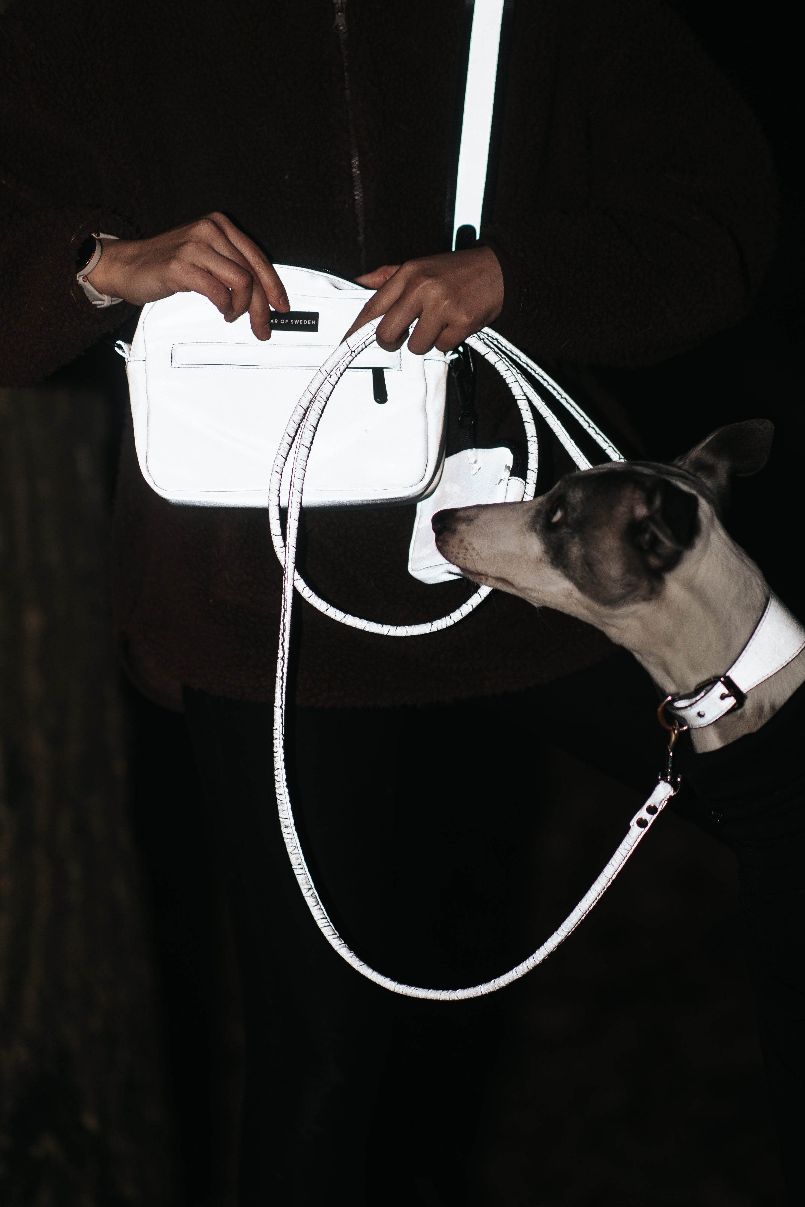 Borsa Riflettente per Passeggiate con il Cane - a Tracolla