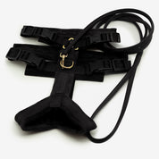Black Y-Harness
