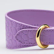 Collare per Cani Larghezza Croco Viola