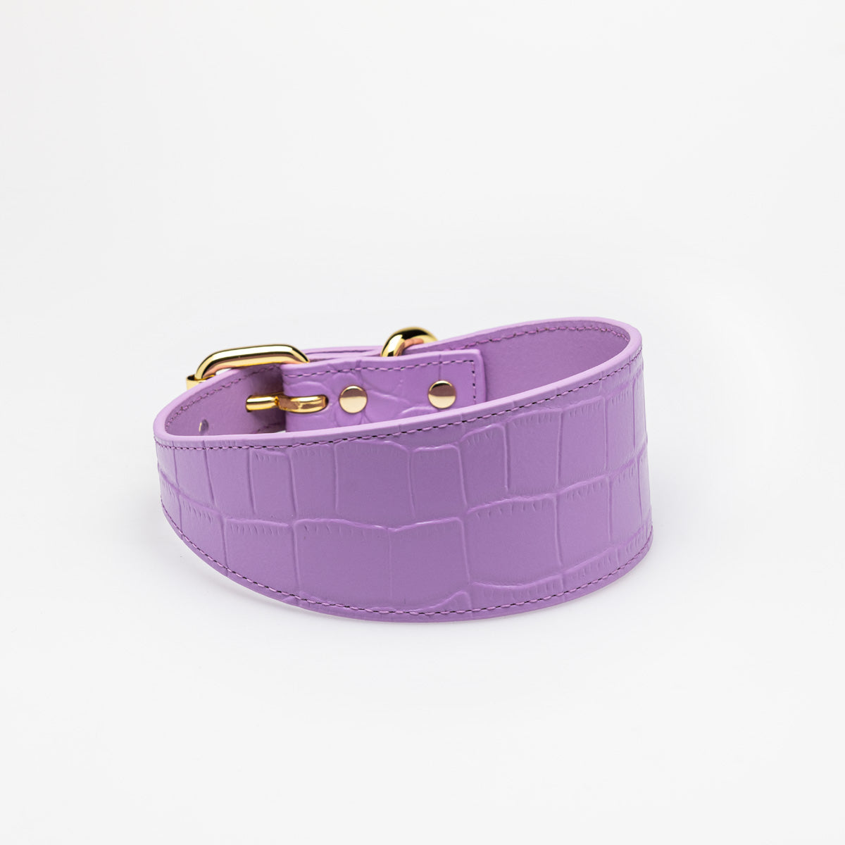 Collare per Cani Larghezza Croco Viola