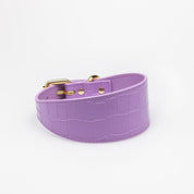 Collare per Cani Larghezza Croco Viola