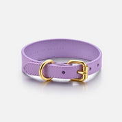 Collare per Cani Violet Sottile
