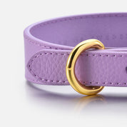Collare per Cani Violet Sottile