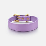 Collare per Cani Violet Sottile