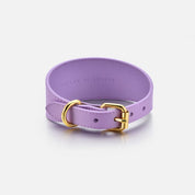 Collare per Cani Largo Viola