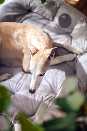 Letto per Cani Grigio 3in1