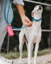 Guinzaglio per Cane Blu Neon