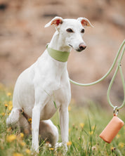 Guinzaglio Pastello Verde per Cani