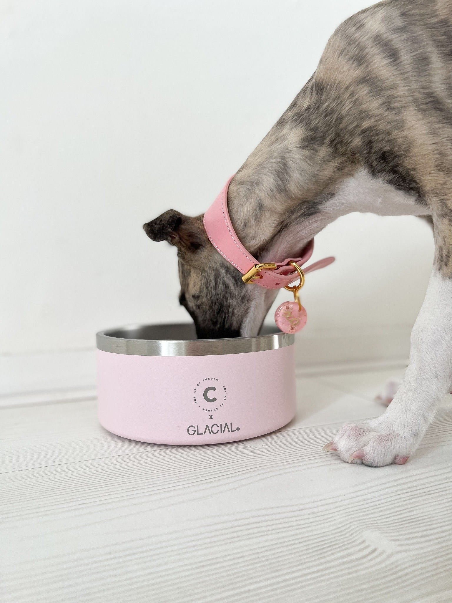 Ciotola per Cani Rosa Chiaro