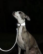 Collare Riflettente Largo Argento per Cani